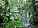 Triplet Falls, Victoria, Australie