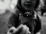 A Young Girl Reaches Out for a Firefly
