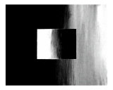 Black & White Abstract 4
