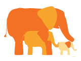 Orange Elephants