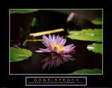 Consistency: Pond Flower