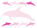 Pink Dolphin Family