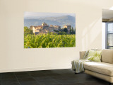 Vineyard and Village, Volpaia, Tuscany, Italy