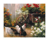 Hens in the Garden