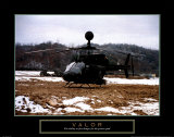 Valor: Helicopter Landing