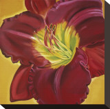 Red Day Lily I