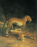 Deux léopards en train de jouer