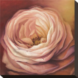 Rose Portrait