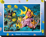 Water Babies, Yellow Fish