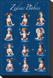 Zodiac Babies