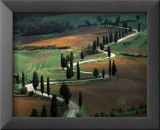 Tuscany Winding Road