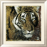 Tigre Portrait