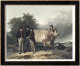 Four Men With A Bull