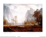 Regard sur la vallée de Yosemite