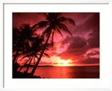 Palms And Sunset at Tumon Bay, Guam