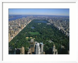 Vue aérienne de Central Park, NYC