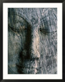 Face of 14M Long Reclining Image of Buddha, Polonnaruwa, North Central, Sri Lanka