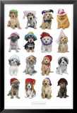 Puppies in Hats