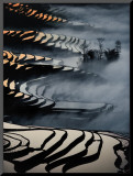 Chine, rizières du Yunnan