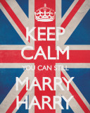 Keep Calm You Can Still Marry Harry