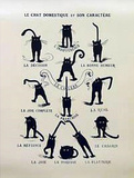 French Caractere (Le Chat Domestique)