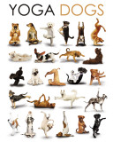 Yoga - Dogs