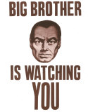 Big Brother vous regarde