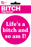 Bitch Life's A Vinyl Stickers