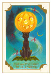 Mystic Light of Halloween, Jack O'Lantern on Black Cat