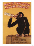 Italy - Anisetta Evangelisti Liquore da Dessert Promotional Poster