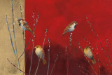 Sparrows in Willow