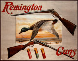 Remington Arms 2 Shotguns & Ducks