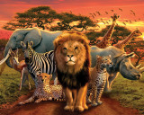African Kingdom
