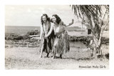 Danseuses traditionnelles, Hawaï