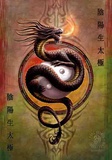 Anne Stokes : Le Dragon,  protection du Yin et du Yang