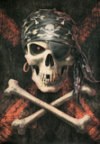 Anne Stokes - Pirate Skull