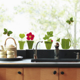 Flowerpots  (Window Decal)