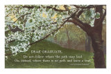 Advice for the Graduate, Cherry Blossoms