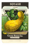 Summer Squash Seed Packet