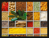 Gastronomy - Spices