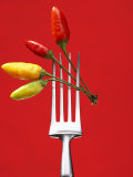 Four Chili Peppers on a Fork
