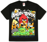 Youth: Angry Birds - Angriest Attack