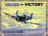 Kevin Walsh - Wings for Victory