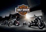 Harley Davidson - Bikes