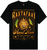 Rastafari - Rasta Lion Frame