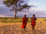 Two Maasai Morans Walking with Spears at Sunset, Amboseli National Park, Kenya