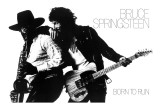 Concert Poster: Bruce Springsteen