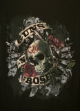 Guns N Roses - Skull