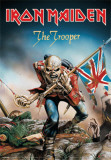 Iron Maiden- The Tropper