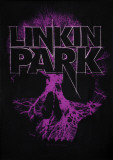 Linkin Park - Skull